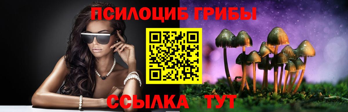 Донской  Псилоцибиновые грибы Psilocybe  Вход с VPN 